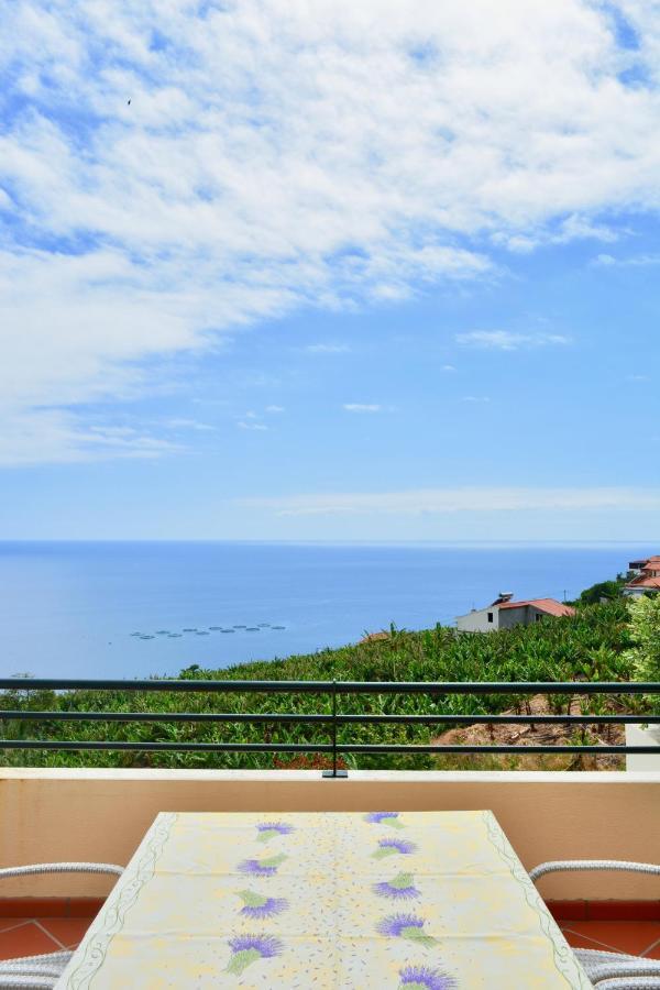 Jardim Do Arco "Esmee" Apartment Arco da Calheta  Exterior photo