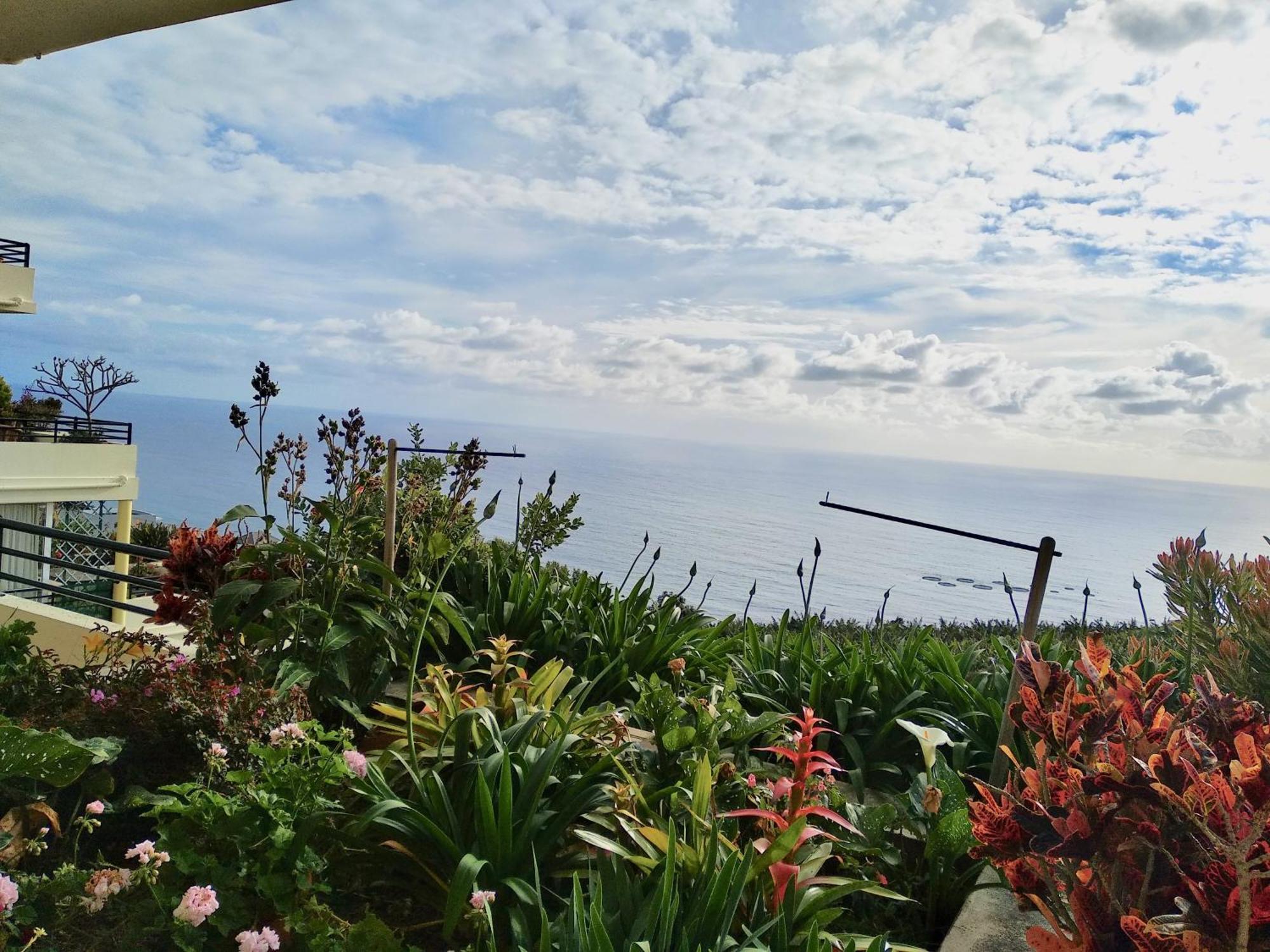 Jardim Do Arco "Esmee" Apartment Arco da Calheta  Exterior photo