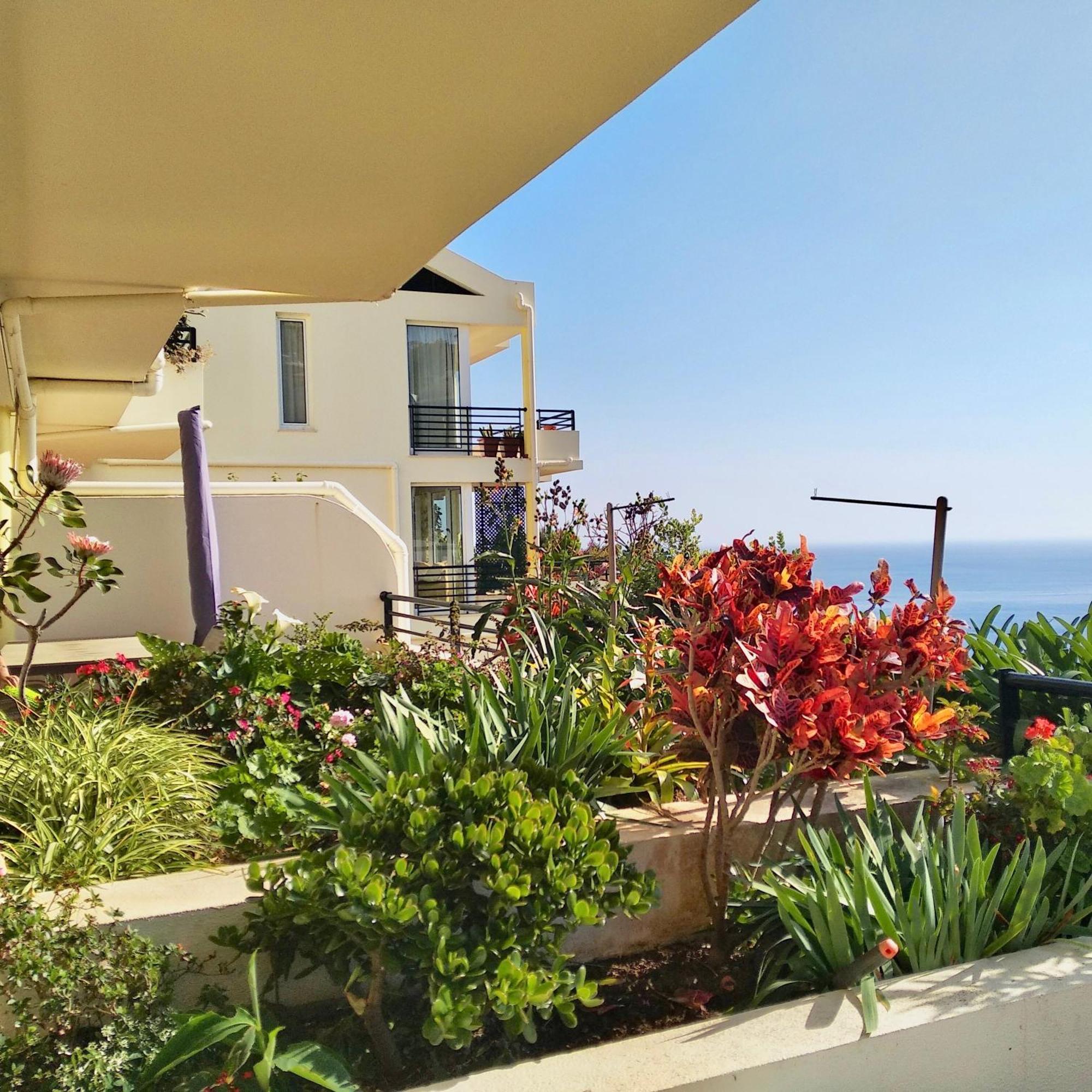 Jardim Do Arco "Esmee" Apartment Arco da Calheta  Exterior photo